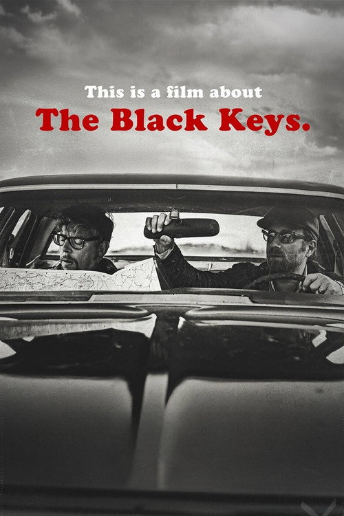 Постер фильма «This is a Film About the Black Keys»