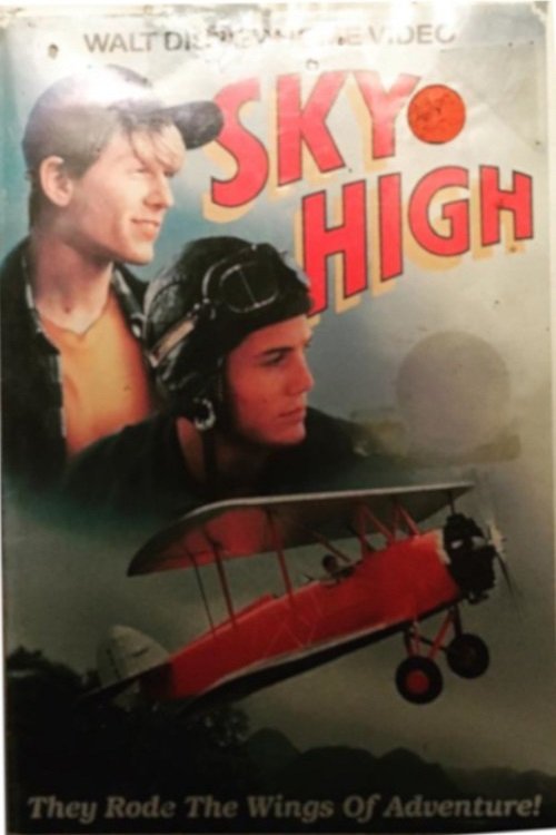 Постер фильма «Sky High»
