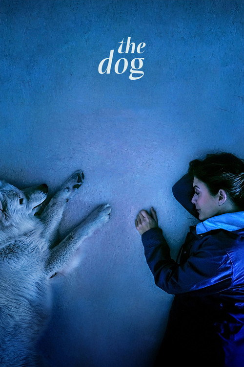 Постер фильма «The Dog»