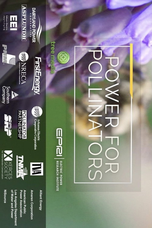 Постер фильма «Power for Pollinators»