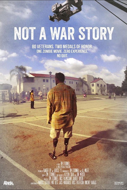 Постер фильма «Not a War Story»