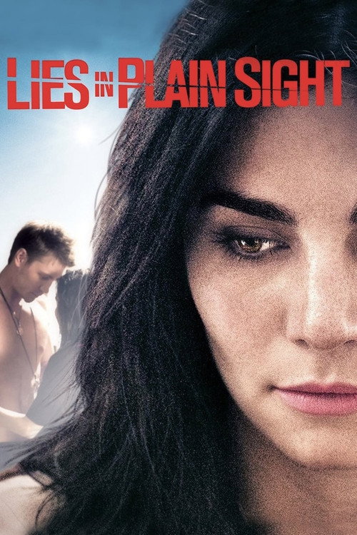 Постер фильма «Lies in Plain Sight»
