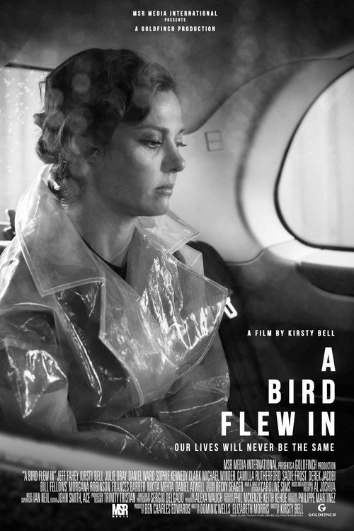 Постер фильма «A Bird Flew In»