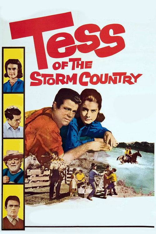 Постер фильма «Tess of the Storm Country»