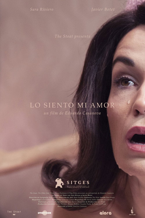 Постер фильма «Lo siento mi amor»