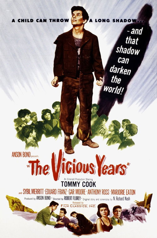 Постер фильма «The Vicious Years»