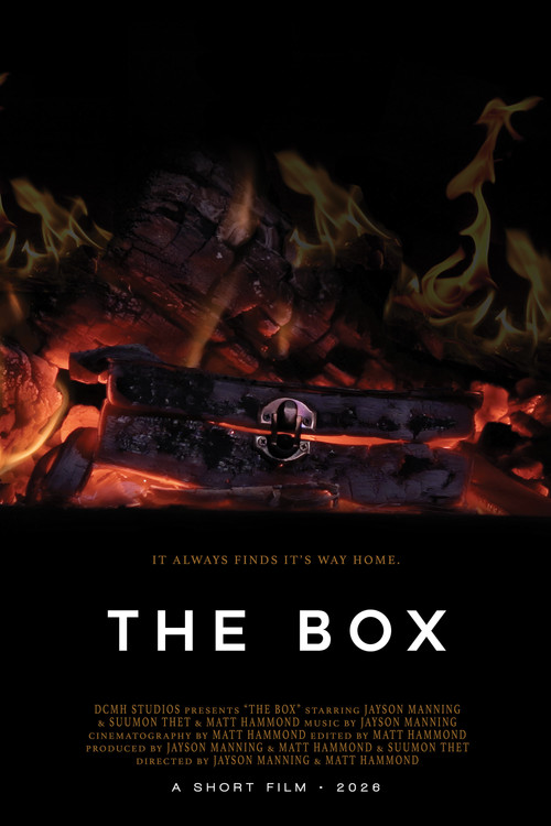 Постер фильма «THE BOX»