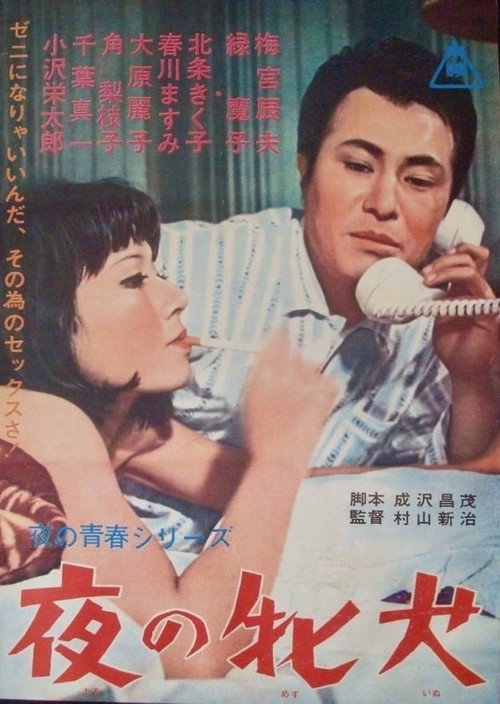 Постер фильма «夜の牝犬»