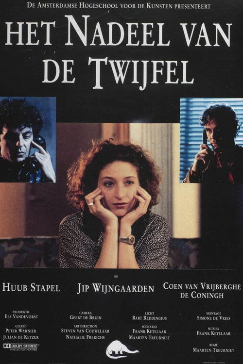 Постер фильма «Het nadeel van de twijfel»