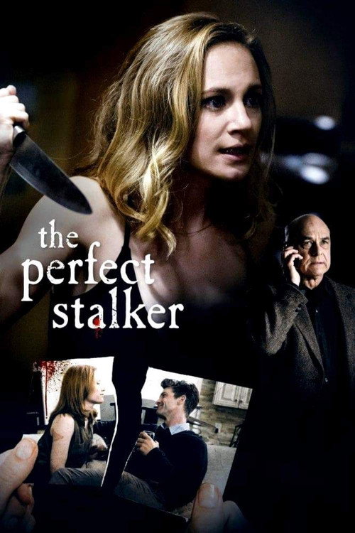 Постер фильма «The Perfect Stalker»