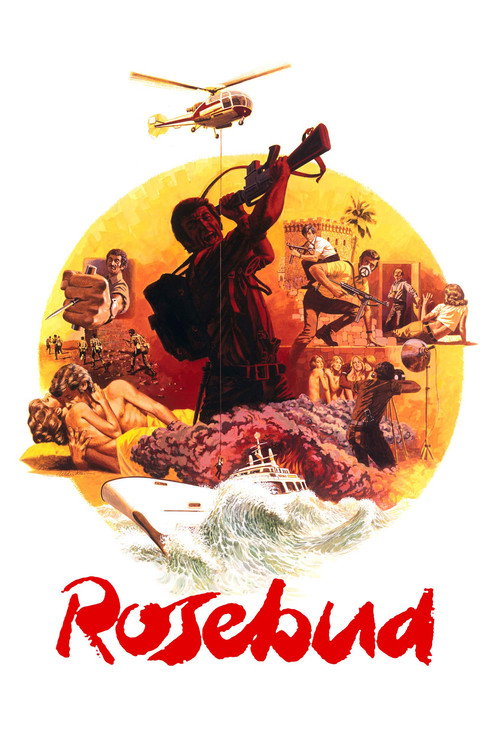 Постер фильма «Бутон розы»