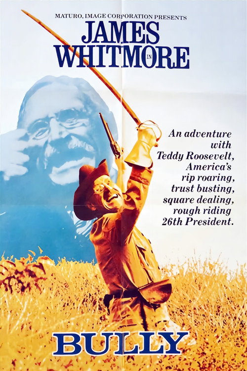 Постер фильма «Bully: An Adventure with Teddy Roosevelt»