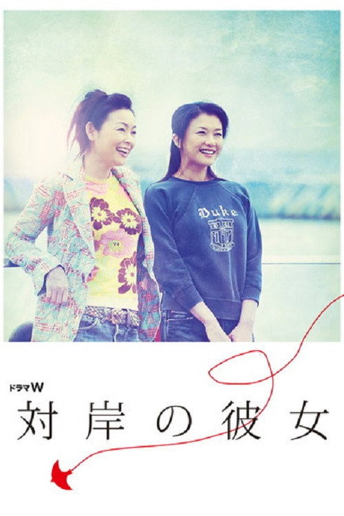 Постер фильма «対岸の彼女»
