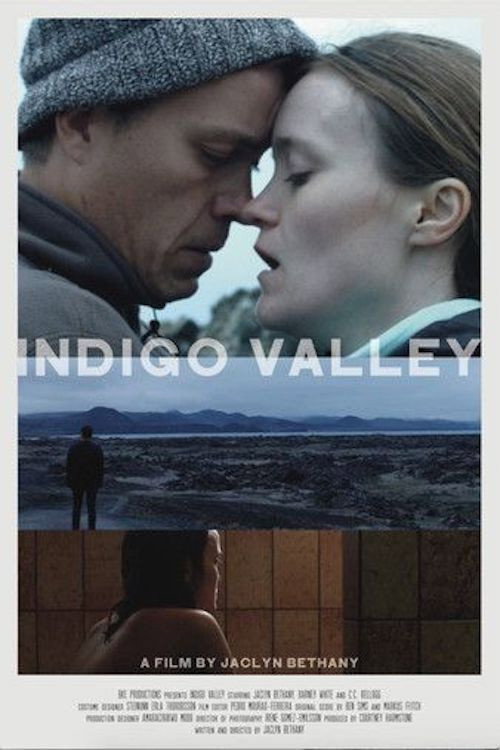 Постер фильма «Indigo Valley»