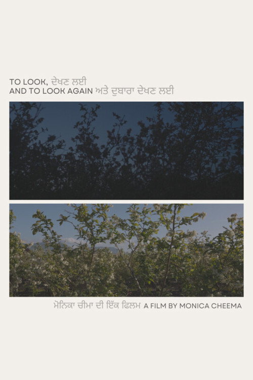 Постер фильма «To Look, and to Look Again»