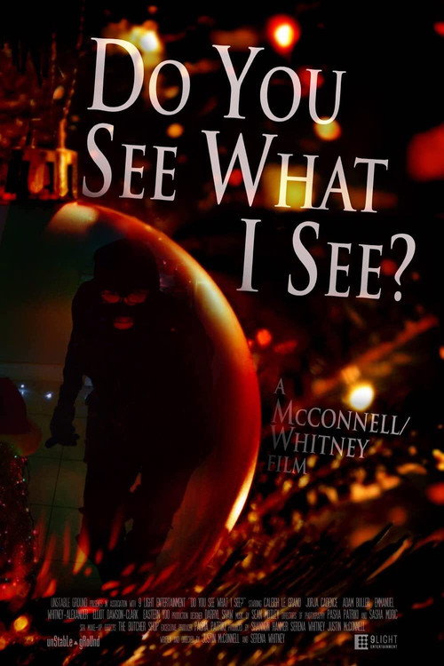 Постер фильма «Do You See What I See?»