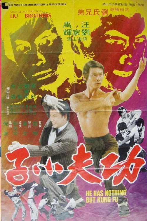Постер фильма «功夫小子»