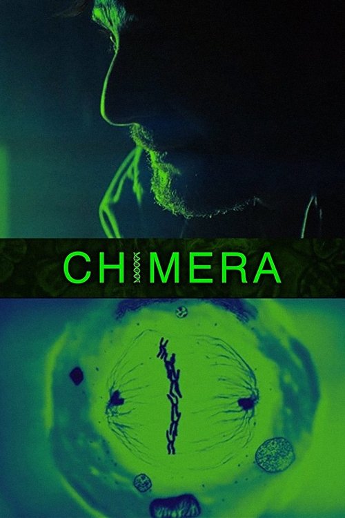 Постер фильма «Штамм химеры»