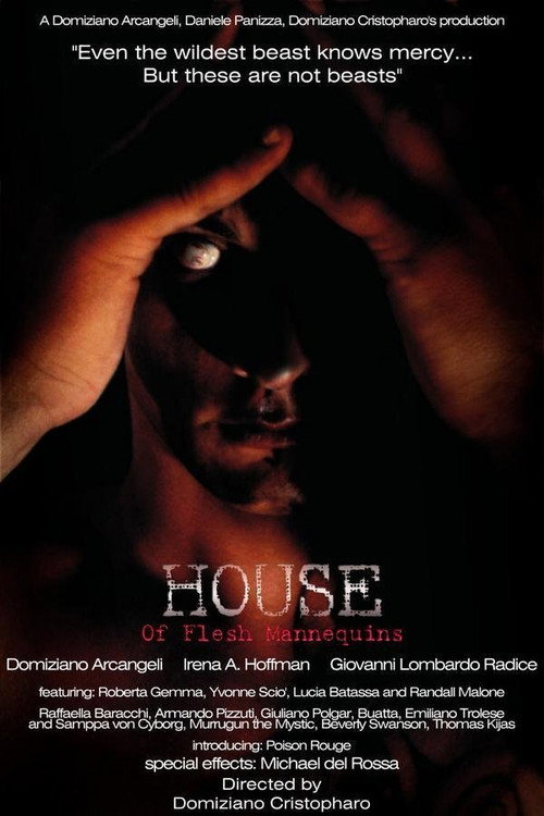Постер фильма «House of Flesh Mannequins»