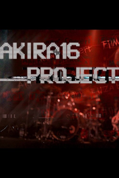 Постер фильма «A K I Я A 1 6»