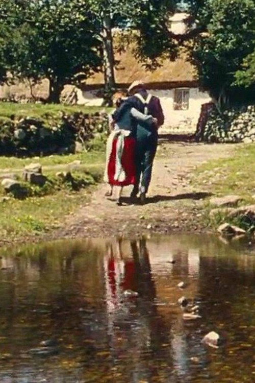 Постер фильма «Muide Éire»
