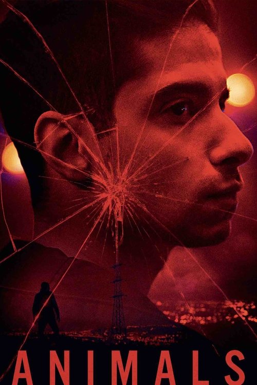 Постер фильма «Животные»