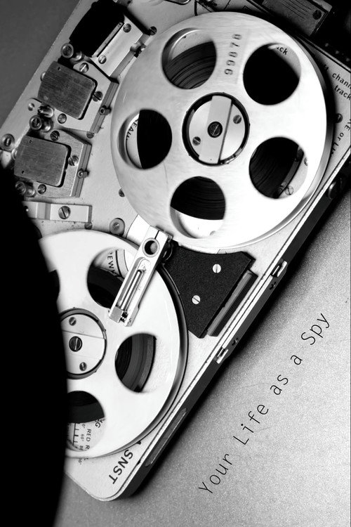 Постер фильма «Your Life as a Spy»