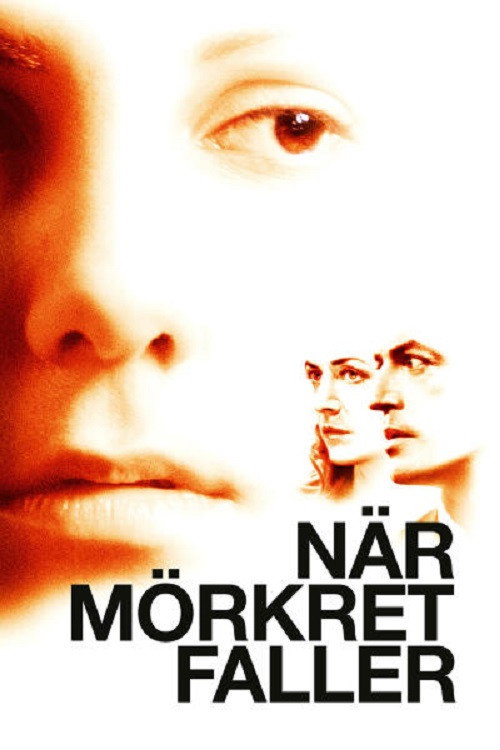 Постер фильма «När mörkret faller»