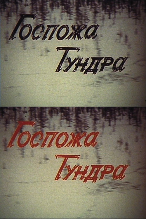 Постер фильма «Госпожа Тундра»