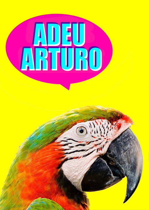 Постер фильма «Adeu, Arturo»