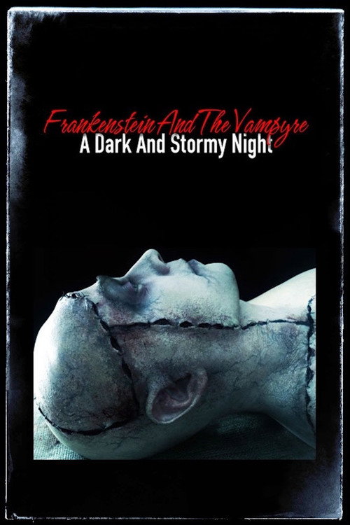 Постер фильма «Frankenstein and the Vampyre: A Dark and Stormy Night»