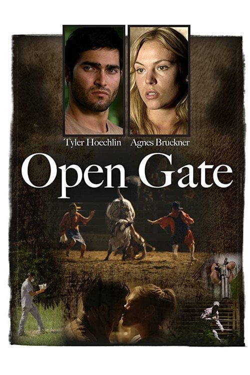 Постер фильма «Open Gate»
