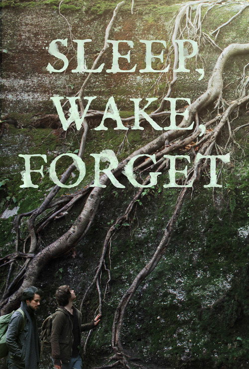 Постер фильма «Sleep, Wake, Forget»