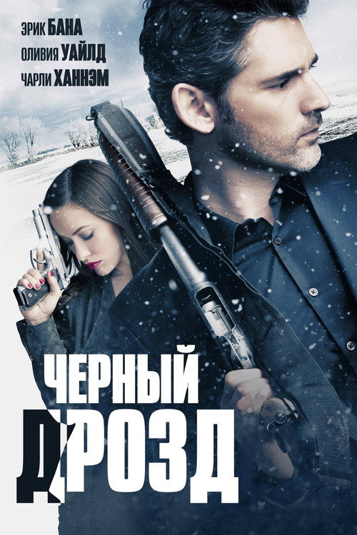 Постер фильма «Чёрный дрозд»