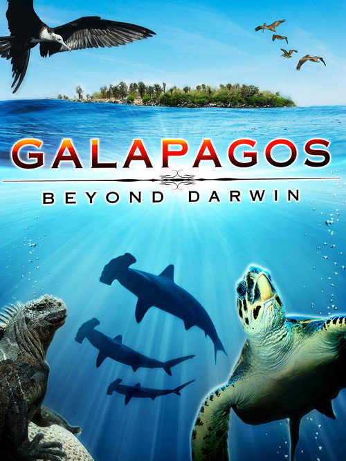 Постер фильма «Galapagos: Beyond Darwin»