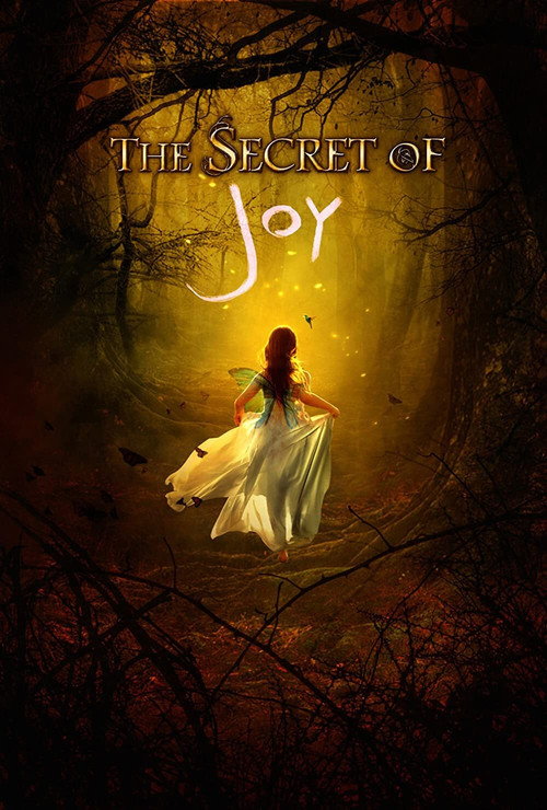 Постер фильма «The Secret of Joy»