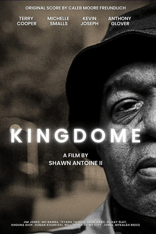 Постер фильма «Kingdome»
