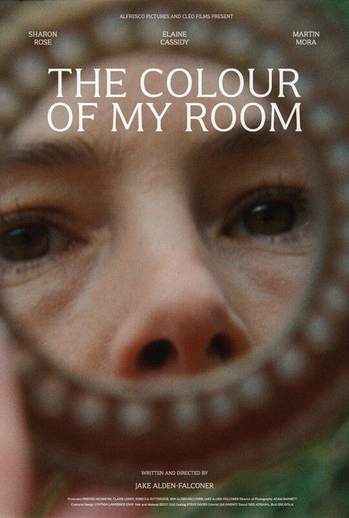 Постер фильма «The Colour of My Room»