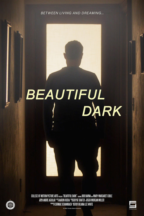 Постер фильма «Beautiful Dark»
