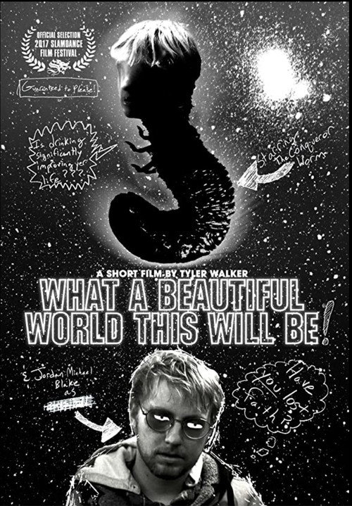 Постер фильма «What a Beautiful World This Will Be»