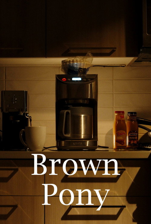 Постер фильма «Brown Pony»