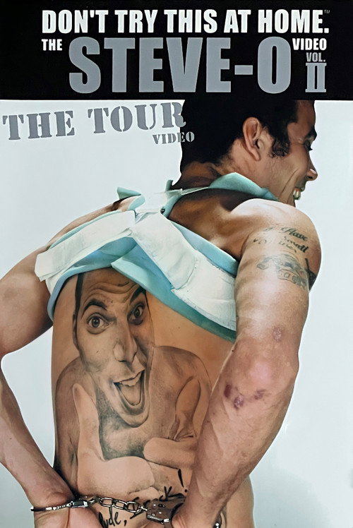 Постер фильма «Don't Try This at Home – The Steve-O Video Vol. 2: The Tour»