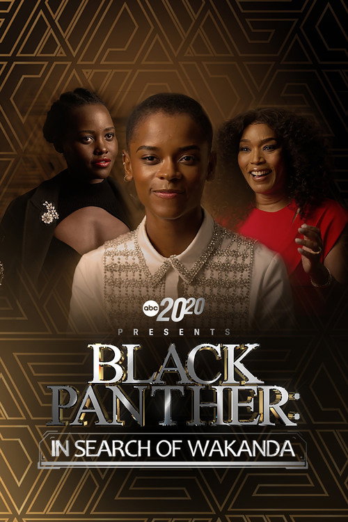 Постер фильма «20/20 Presents Black Panther: In Search of Wakanda»