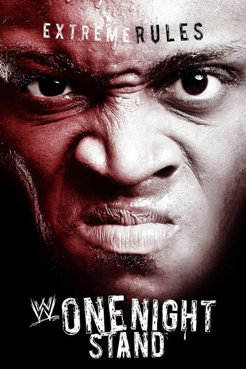 Постер фильма «WWE One Night Stand 2007»