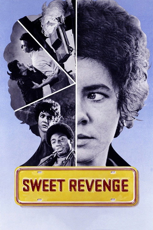 Постер фильма «Sweet Revenge»