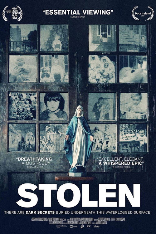 Постер фильма «Stolen»