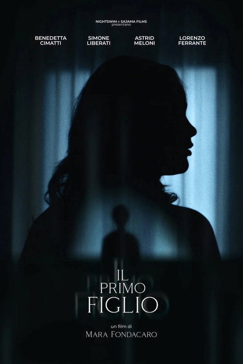 Постер фильма «Il primo figlio»