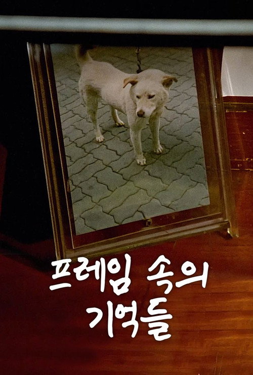Постер фильма «프레임 속의 기억들»
