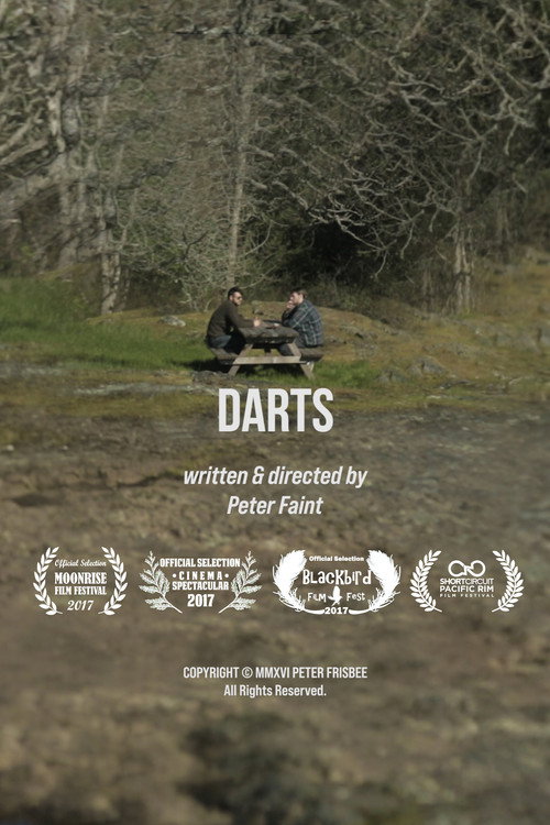 Постер фильма «Darts»