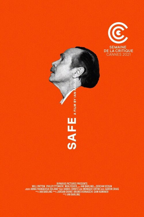 Постер фильма «Safe»